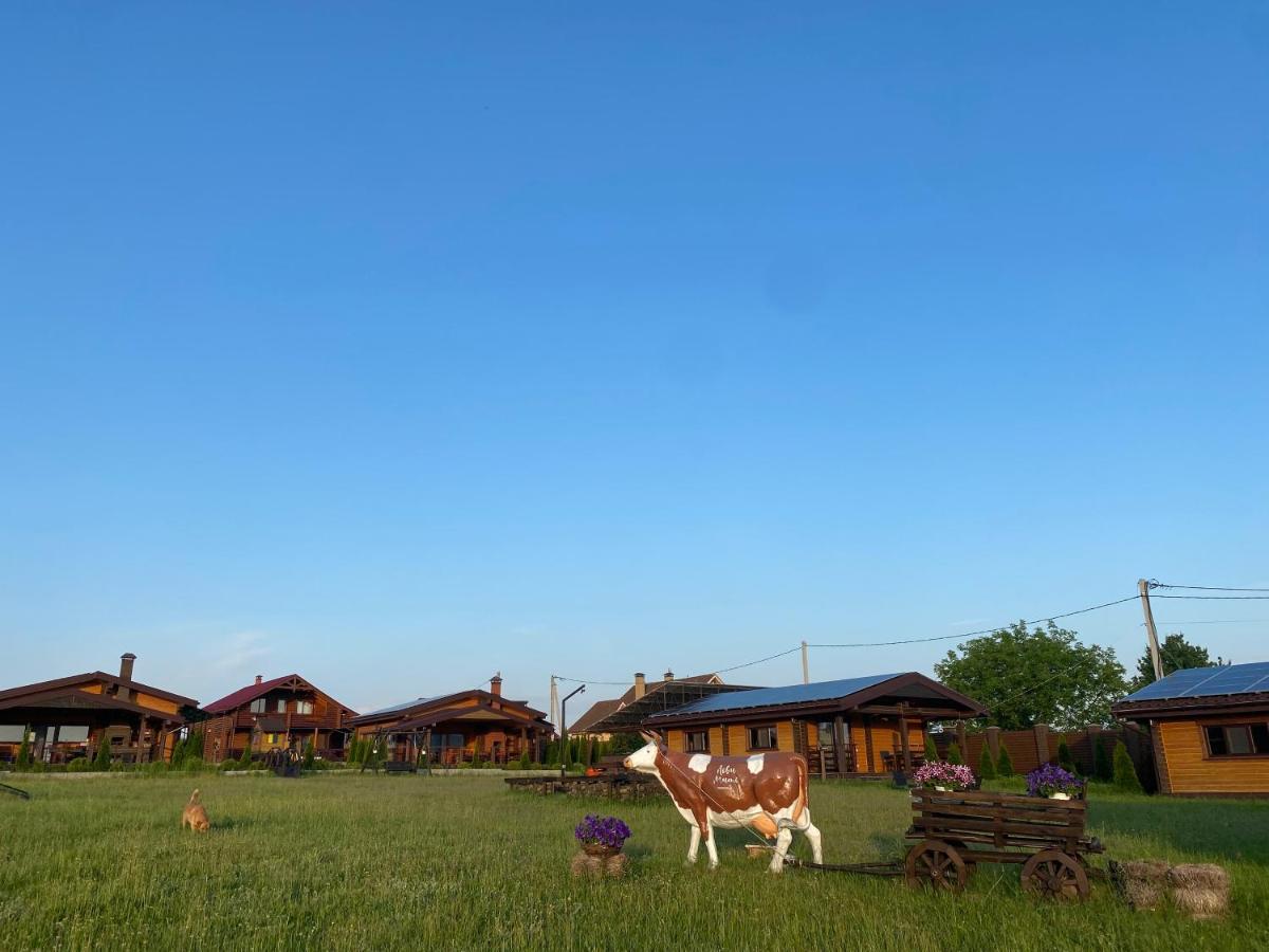 Хомене Villa Rzhyshchiv Kültér fotó